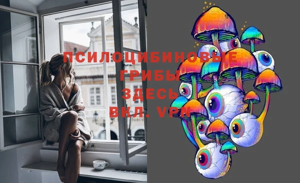 гашиш Гусь-Хрустальный
