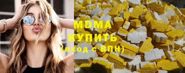 индика Дмитриев