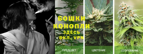 гашиш Гусь-Хрустальный