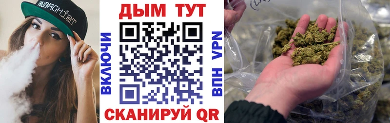 Купить закладки  Заполярный  Каннабис план 